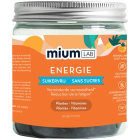 MiumLab Energie