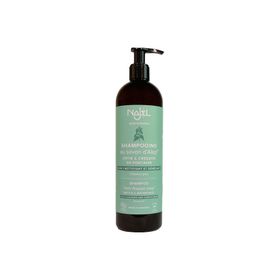 Najel Shampoing au Savon d'Alep 2 en 1 Nettoyant et Démêlant Cheveux Gras