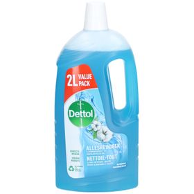 Dettol Power & Fresh Nettoie-Tout Fraîcheur de Lin