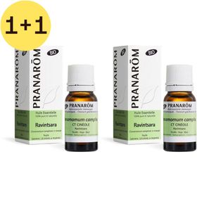 Pranarôm Huile Essentielle Ravintsara Bio | 1+1 GRATUIT