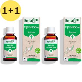 HerbalGem Vijgenboom Bio – Voedingssupplement – Extract van verse knoppen – Voor de spijsvertering | 1+1 GRATIS