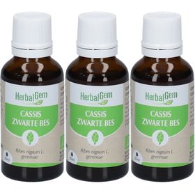 HerbalGem Cassis Bio TRIO