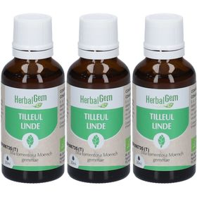 HerbalGem Tilleul Bio TRIO