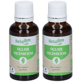 HerbalGem Vijgenboom Bio DUO