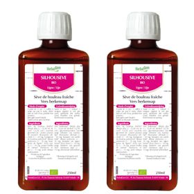 HerbalGem Silhouseve Sève de Bouleau Fraîche DUO DEAL