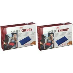 Sissel Cherry Coussin Noyaux de Cerise 20 cm x 40 cm Rouge