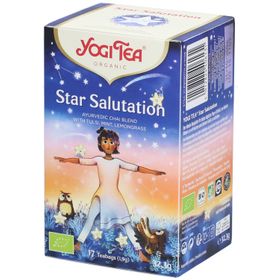 Yogi Tea Star Salutation