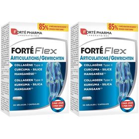 Forté Pharma Forté Flex Gewrichten