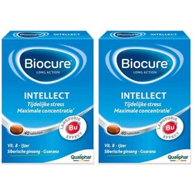 Biocure® Intellect - Concentratie, Geheugen, Vitamine