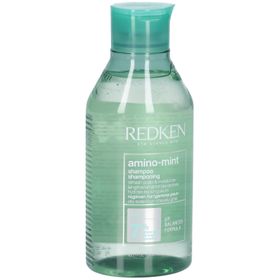 Redken Amino-Mint Shampoo