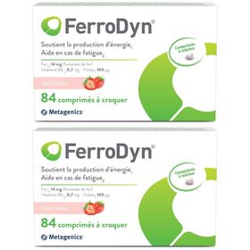 FerroDyn