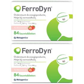 FerroDyn