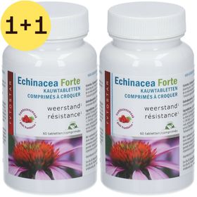 Fytostar Echinacea Forte Kauwtabletten | 1+1 GRATIS