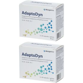 AdaptoDyn