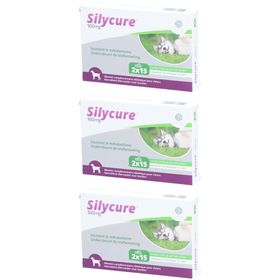 Silycure 160mg