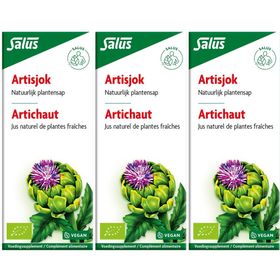 Salus Artisjokkensap Bio