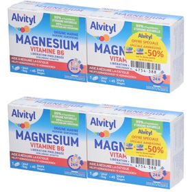 Alvityl® Magnésium Vitamine B6 2ème -50 %| Libération Prolongée - Fatigue - 45 Jours