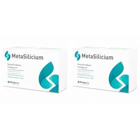 MetaSilicium