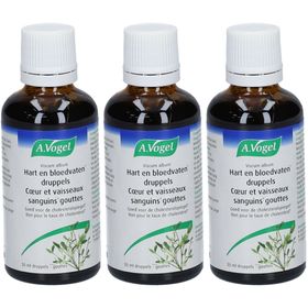 Vogel Viscum Album Gouttes