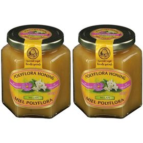 Melapi Honing Polyflora + Koninginnenbrij