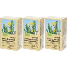 Salus Thee Paardenbloem Bio