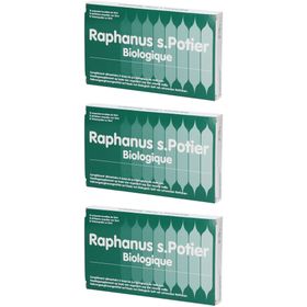Raphanus s.Potier