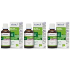 Ladrôme Extrait de plante fraîche Mélisse officinale