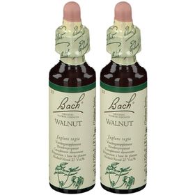 Bach Flower Remedie 33 Walnut