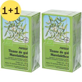 Floradix Tisane de Gui | 1+1 GRATUIT