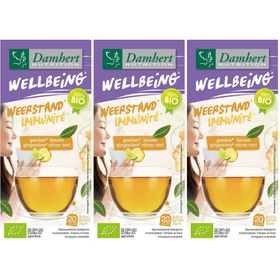 Damhert Wellbeing Thé Gingembre - Citron Vert Bio