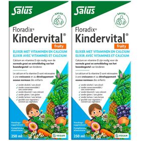 Salus Floradix-Kindervital Fruity