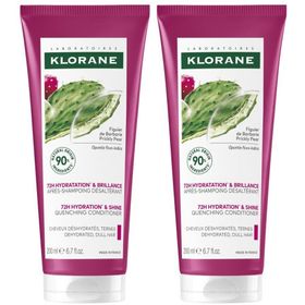 Klorane Cactusvijg Dorststellende Conditioner Hydratatie en glans | Dof haar
