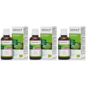 Ladrôme Extrait d'Artichaut Bio