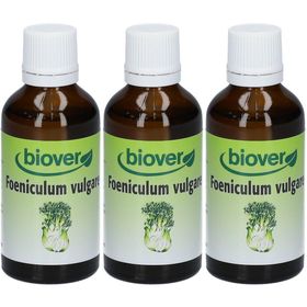 Biover Foeniculum Vulgare - Venkel Tinctuur Bio