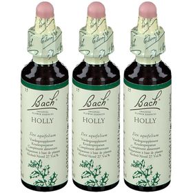 Bach Bloesem No 15 Holly