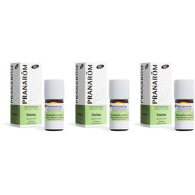 Pranarôm Essentiële Olie Wierook Bio