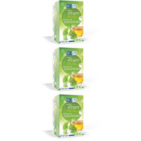 Biolys Concentratie Ginkgo-Groene Thee