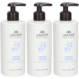 Umami Fresh Leaves Liquid Hand Wash Menthe du Japon & Gingembre