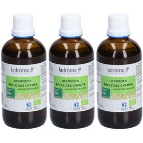 Ladrôme Prêle des Champs Extrait Végétal