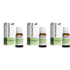 Pranarôm Etherische olie Rozengeranium cv Bourbon Bio