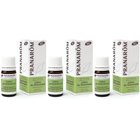 Pranarôm Etherische Olie Groenlandse Moeraspalm Bio