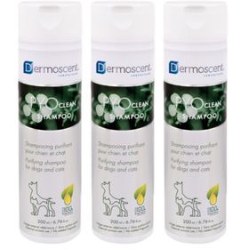 Dermoscent Pyoclean Shampooing Chien Chat