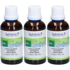 Ladrôme Gingembre Extrait Végétale