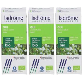 Ladrôme Extrait de Teinture-Mère Gui