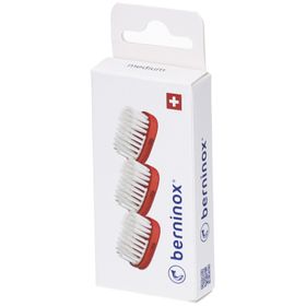 Berninox 3 x têtes de brosse de rechange rouge corail medium
