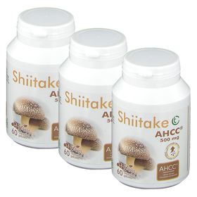 SoriaBel Shiitake