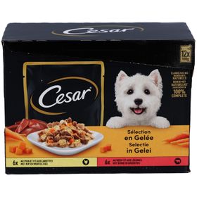 Cesar Selection en Gelée - Frisheidszakjes voor volwassen honden