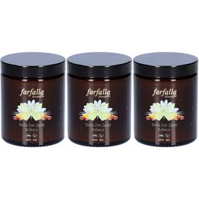 farfalla Bougie parfumée Vanille-Cannelle-Magique