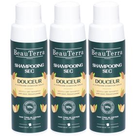 BEAUTERRA Trockenshampoo Fl 50 g x3