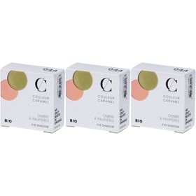 COULEUR CARAMEL Ombre à paupières bio n°44 - Prune nacré